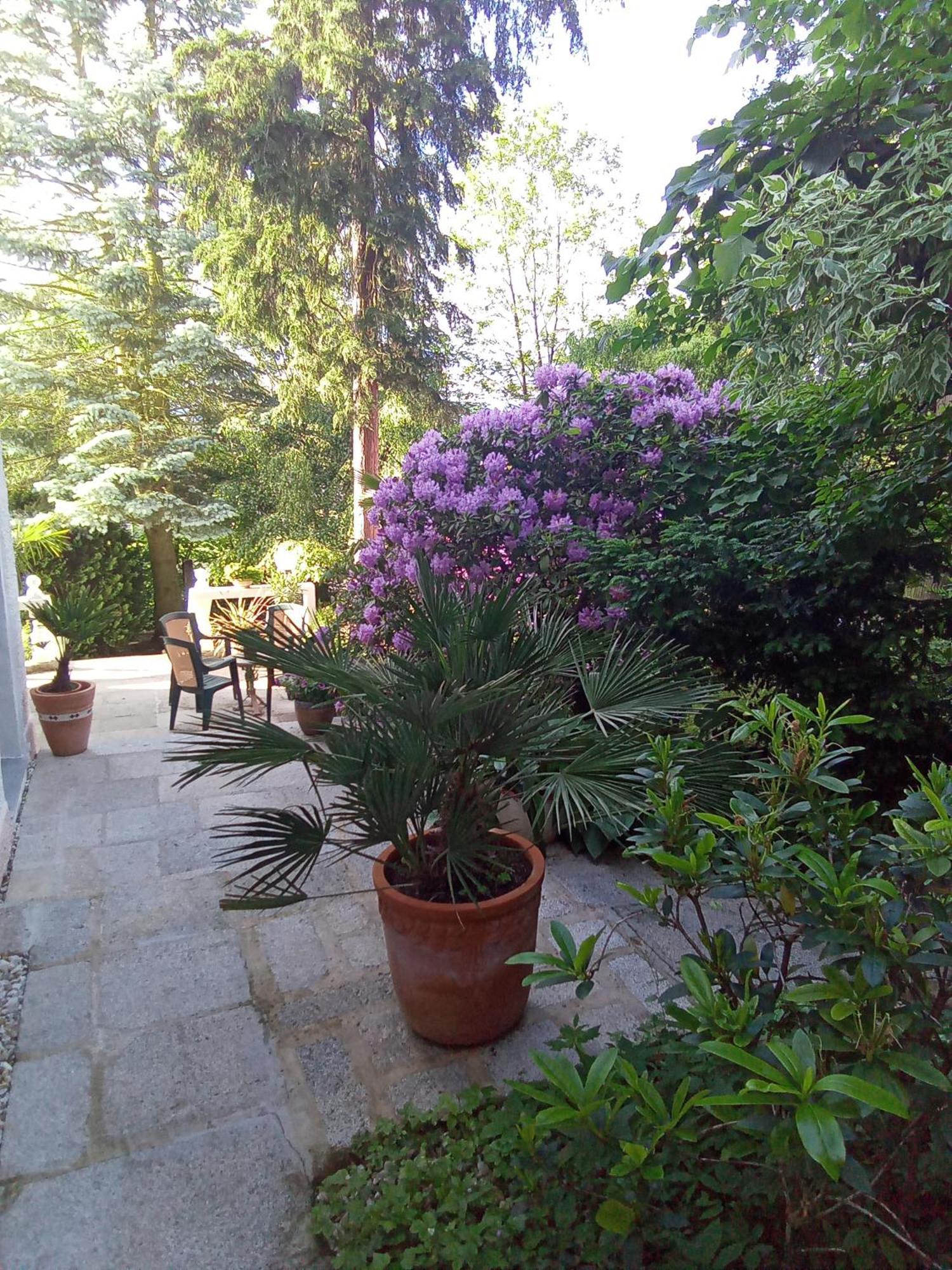 Pension Baron Schoeneck Karlovy Vary Exterior foto