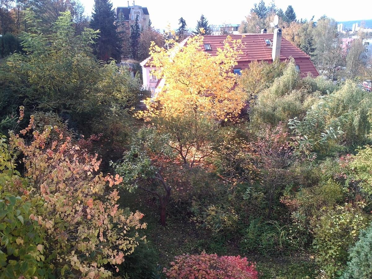 Pension Baron Schoeneck Karlovy Vary Exterior foto